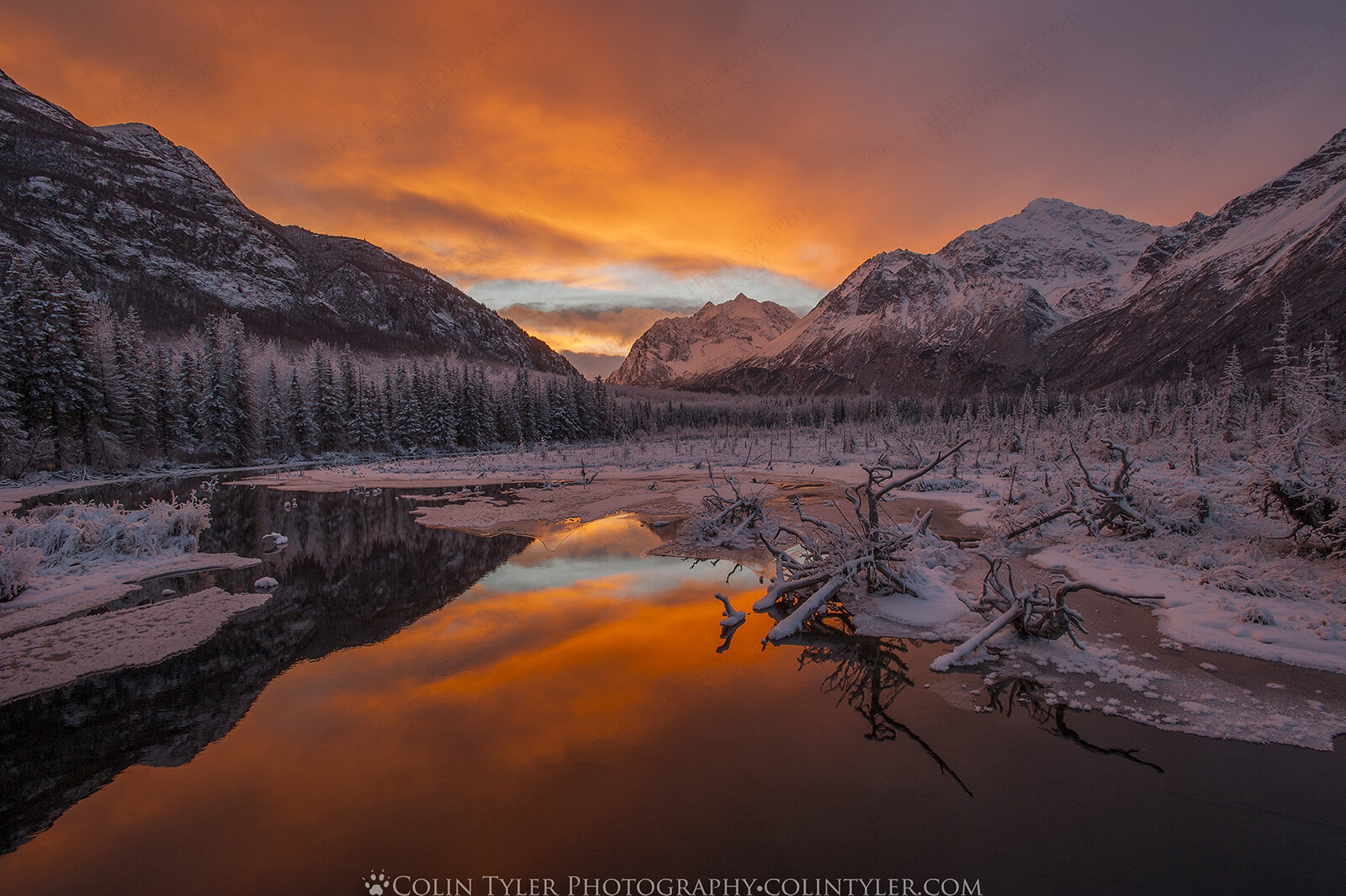 December Sunrise, Eagle River Nature Center, Alaska. (Colin Tyler Bogucki)