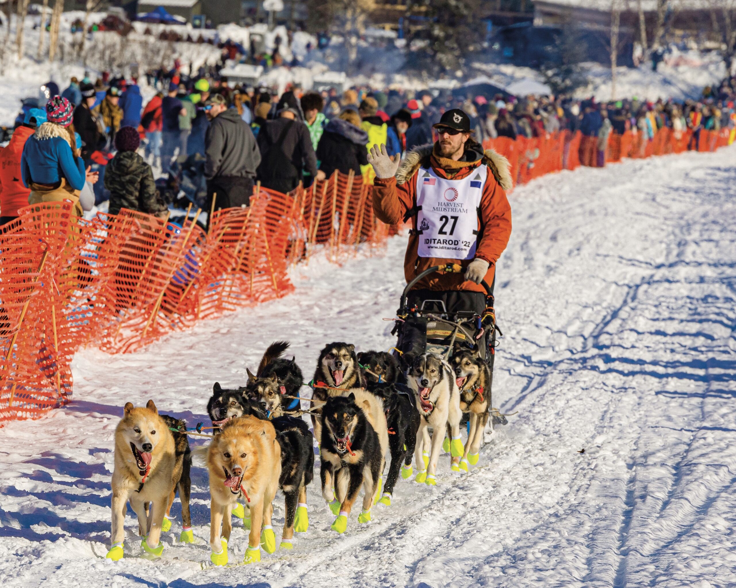 Wheeling Dog Track Race Results
